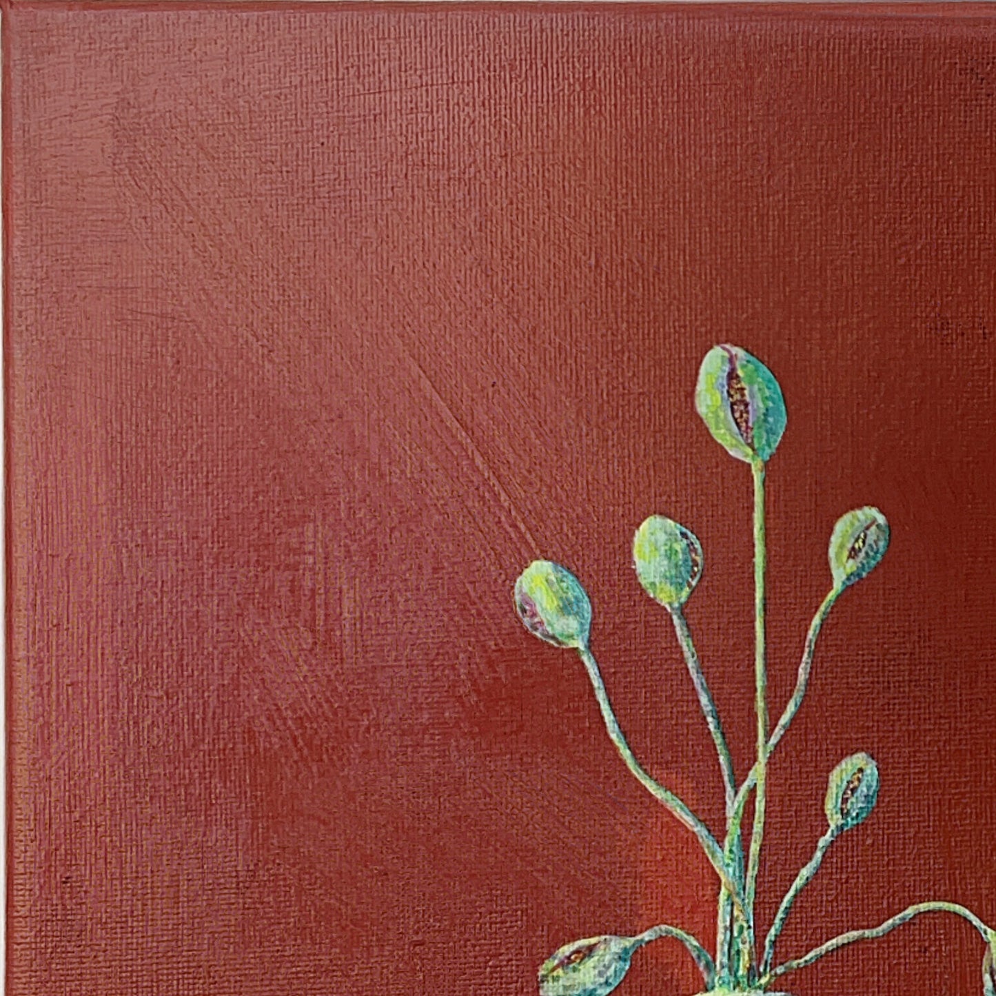Whispering Buds (F4)