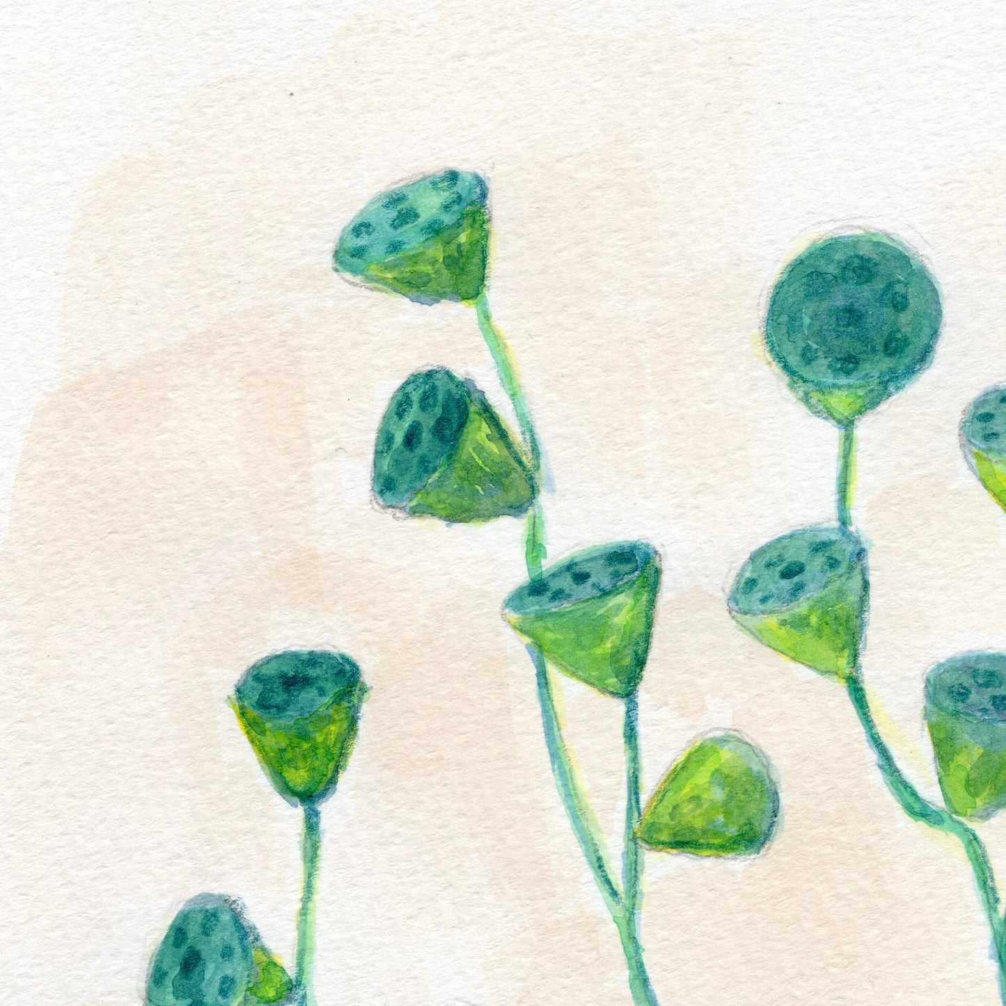Growing Towards