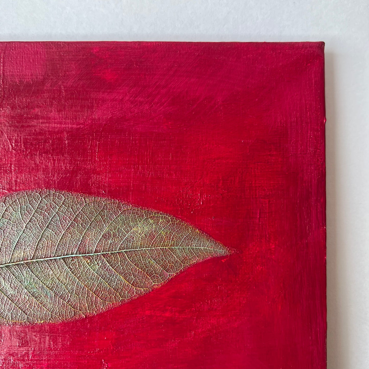 Nature Sense (F3)
