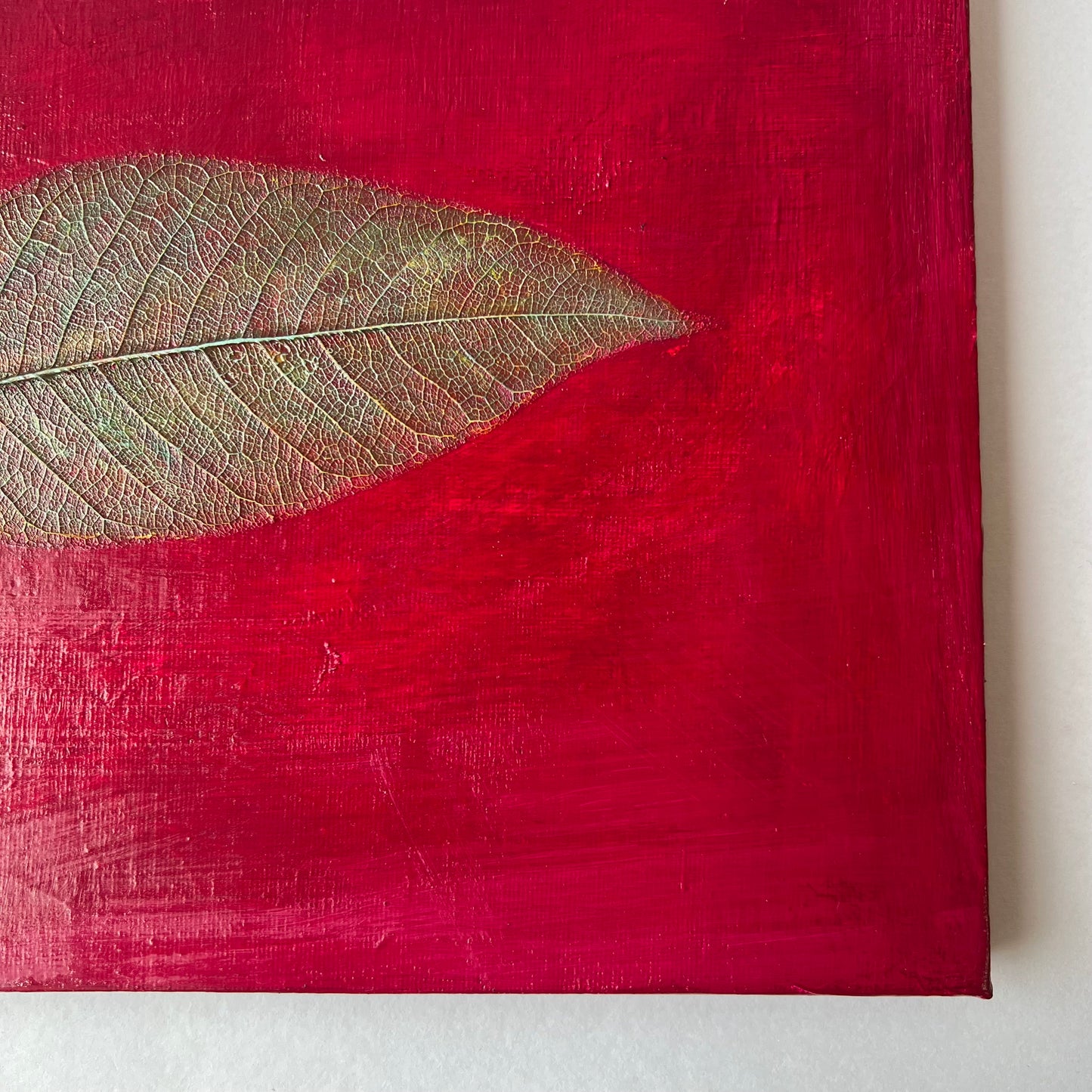 Nature Sense (F3)
